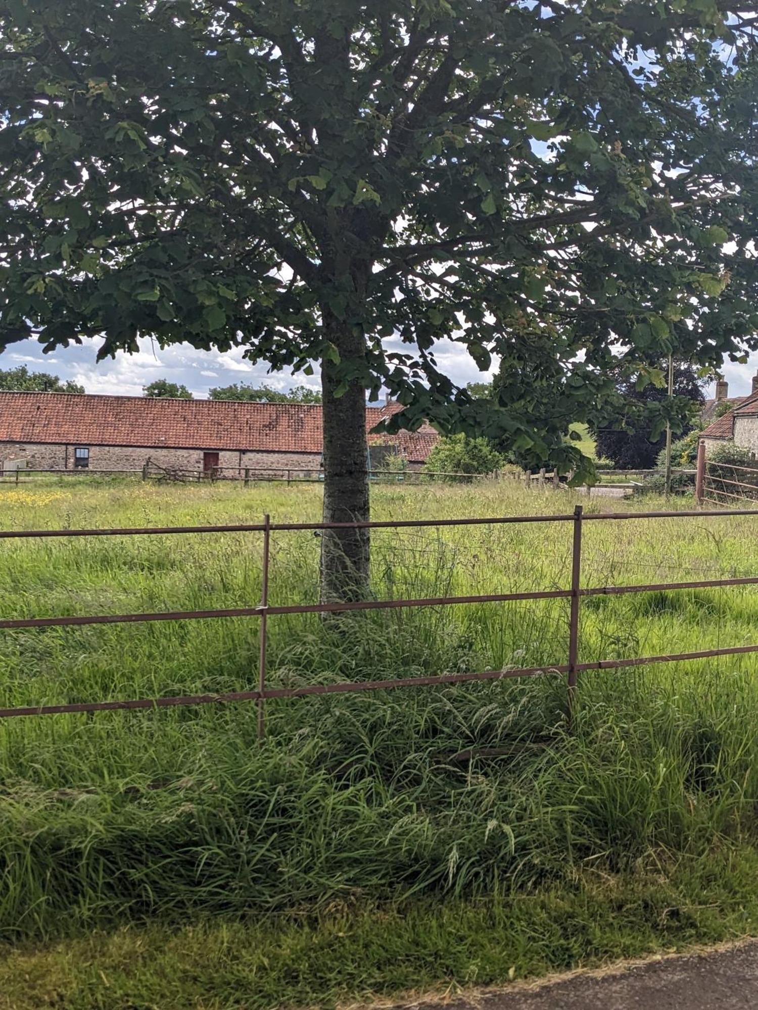 Regilbury Court, Grooms House Redhill  Ngoại thất bức ảnh